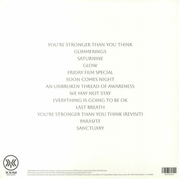 GOGO PENGUIN Everything Is Going To Be Ok LP