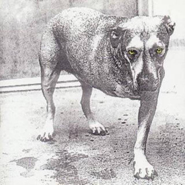 ALICE IN CHAINS Alice In Chains CD