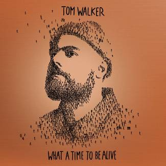 WALKER, TOM What A Time To Be Alive (deluxe Edition) CD