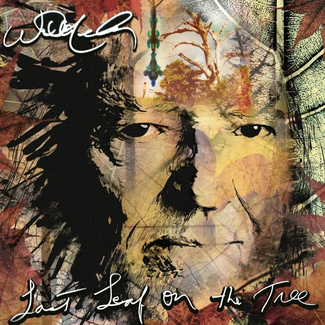 NELSON, WILLIE Last Leaf On The Tree CD