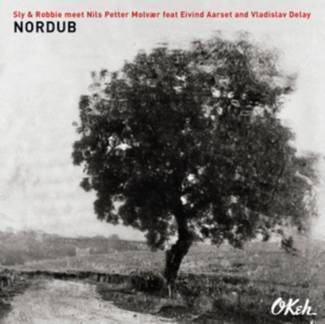 SLY & ROBBIE MEET NILS PETTER MOLVAER FEAT. EIVIND Nordub CD