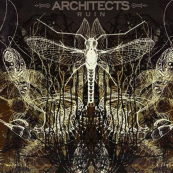 ARCHITECTS Ruin CD