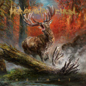 HEAVEN SHALL BURN Heimat 2LP + CD