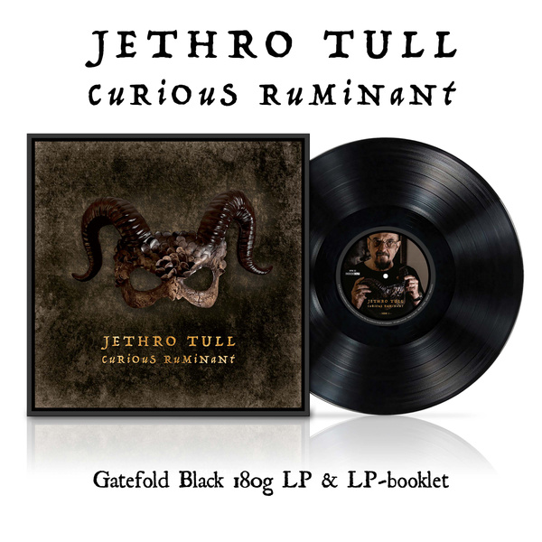 JETHRO TULL Curious Ruminant LP