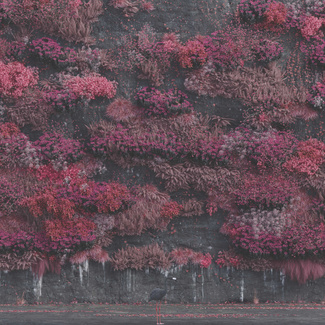 SLEEP TOKEN Even In Arcadia CD