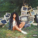 CTRL (Green Vinyl)