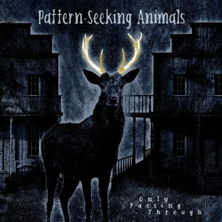 Pattern-Seeking Animals - Only Passing Through [CD]