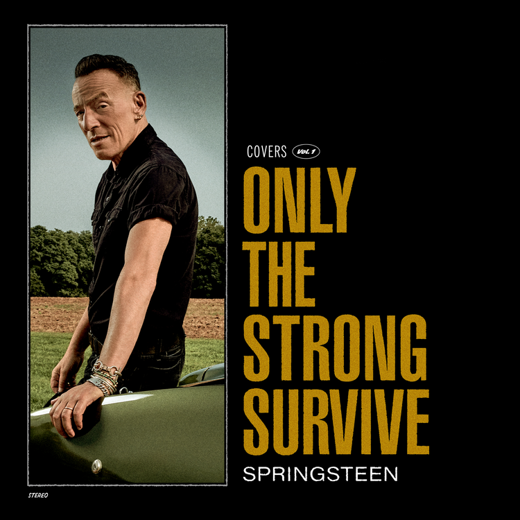 Bruce Springsteen - Only The Strong Survive [CD]